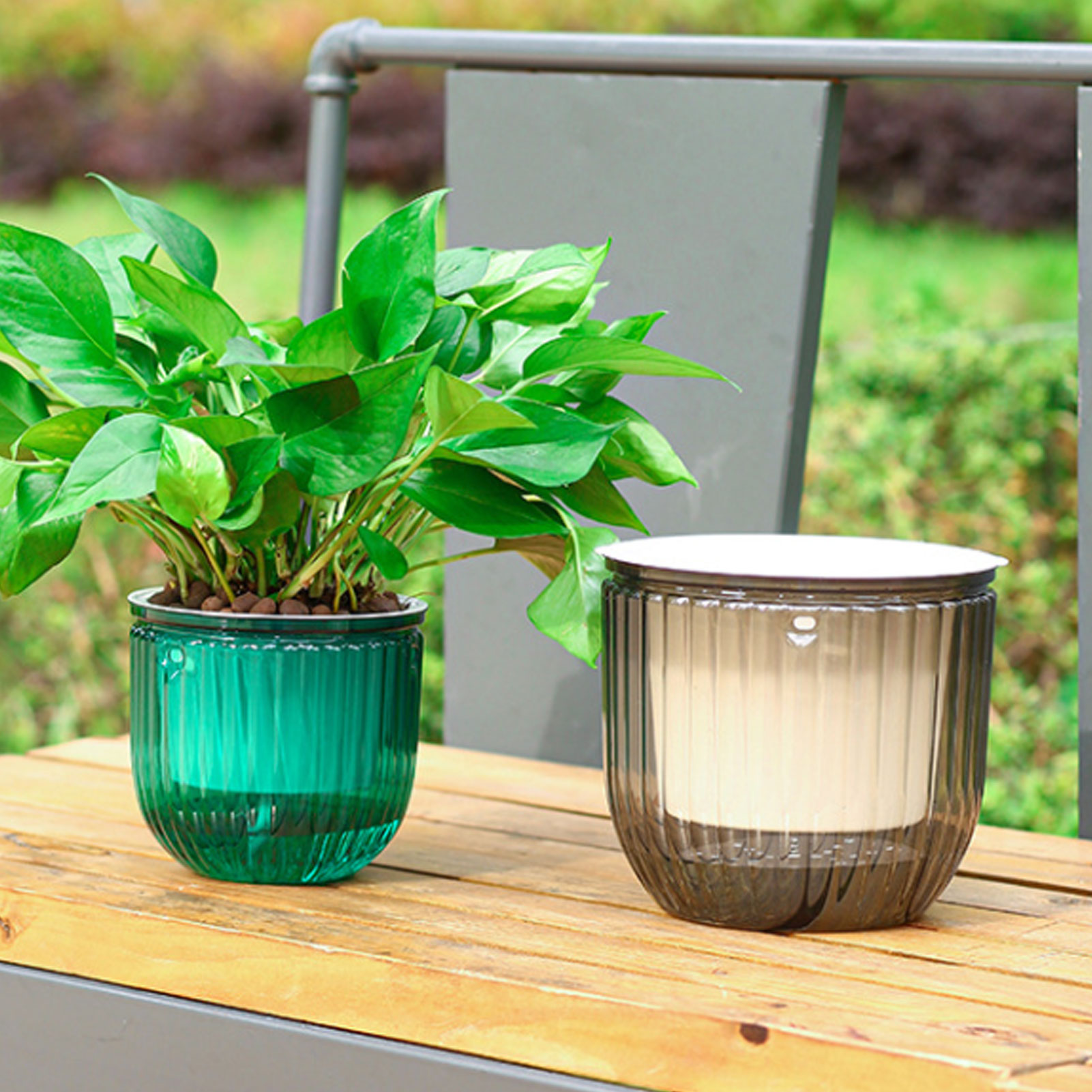 自動給水植木鉢 透明吊り下げフラワーバスケット ポトス、スパ - Spider Plant Hanging のレビューと価格