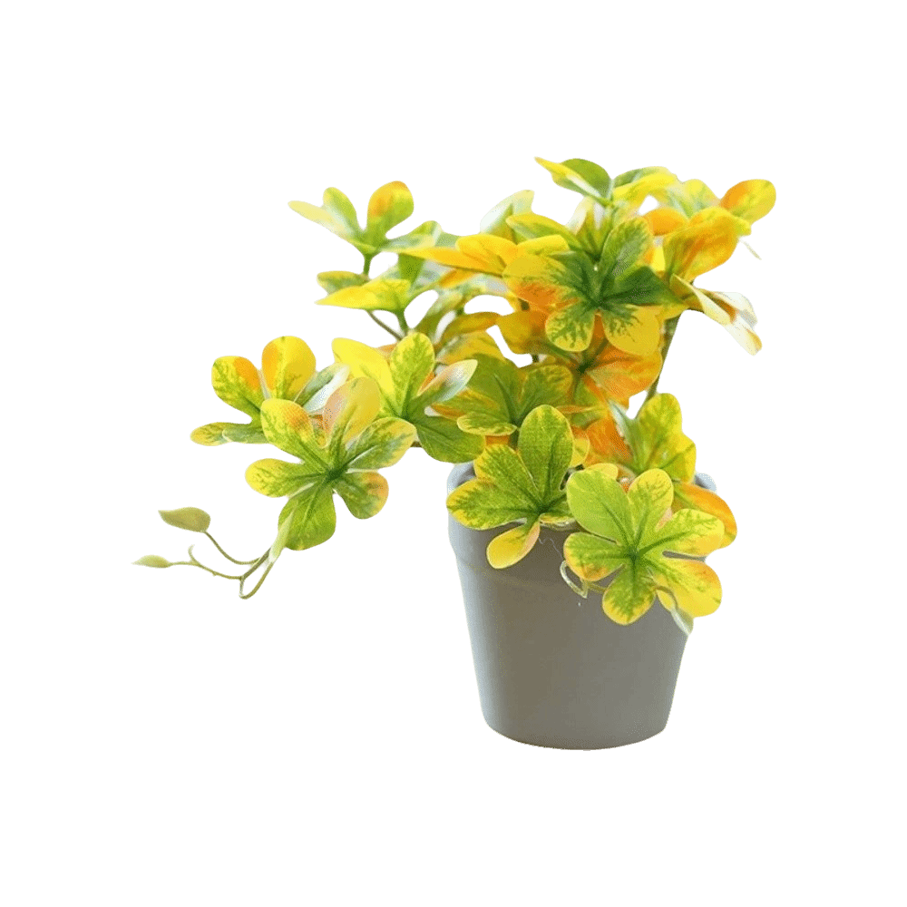 盆栽 人工盆栽植物 人工スパイダープランツ ポット付き フェ - Spider Plant Hanging のレビューと価格
