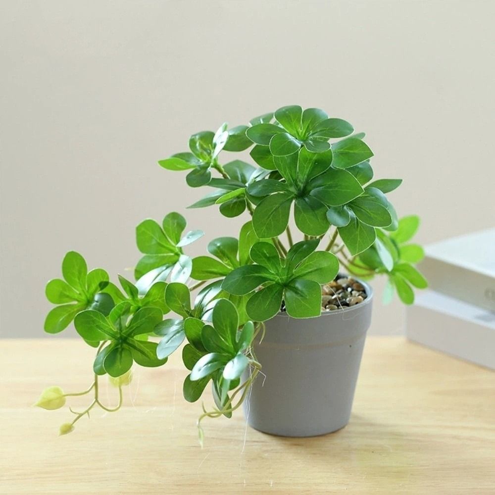 盆栽 人工盆栽植物 人工スパイダープランツ ポット付き フェ - Spider Plant Hanging のレビューと価格