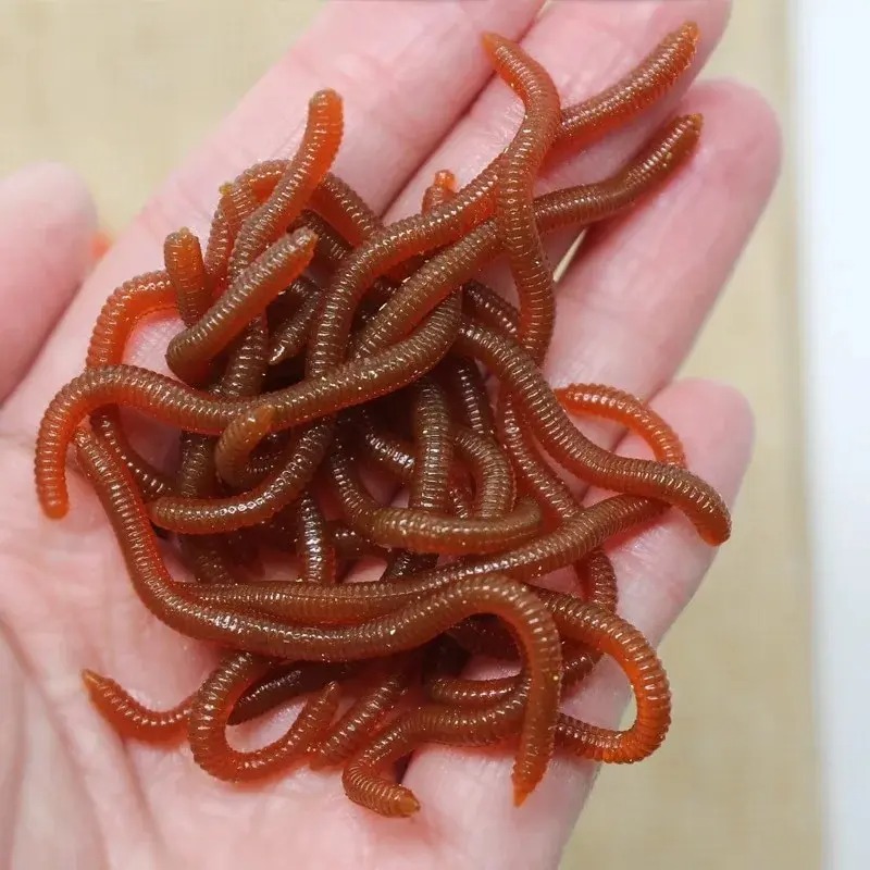 リアルな魚の香りの赤いソフトルアー シミュレーションミミズ  - Aglaonema Red のレビューと価格