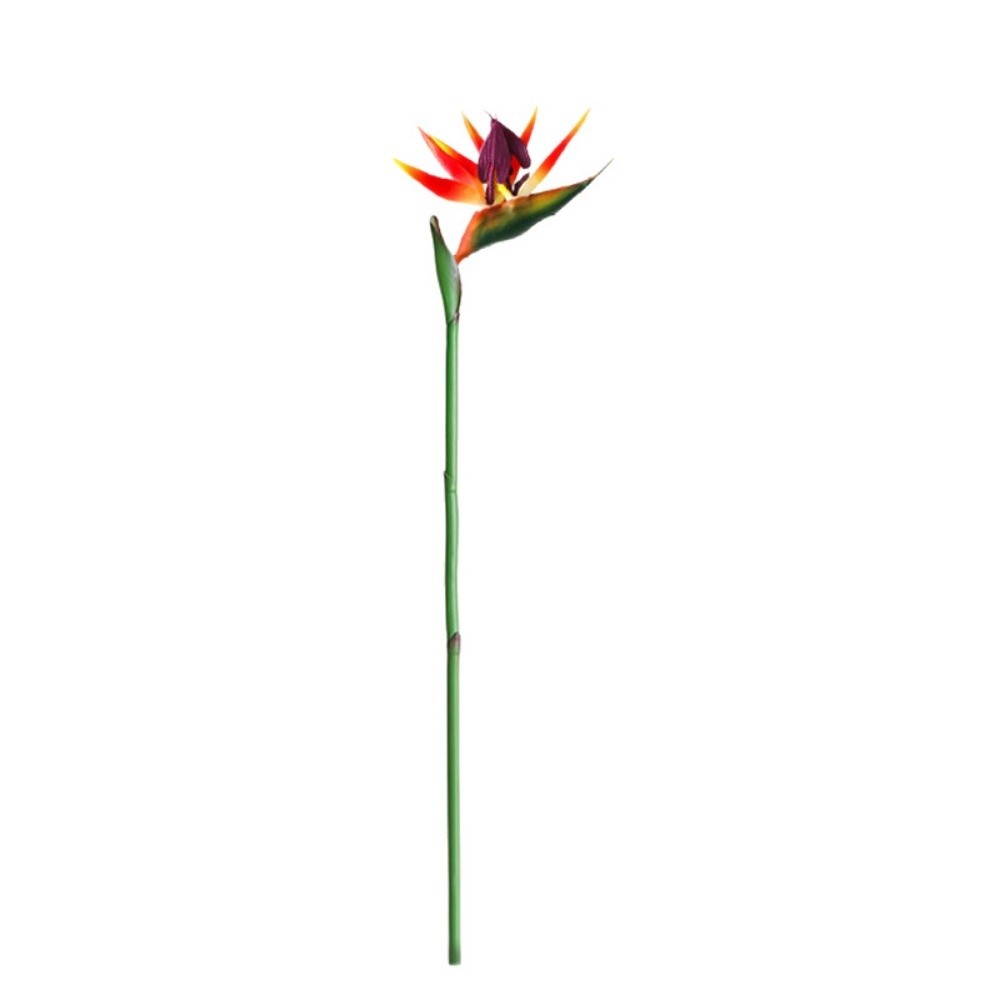 長い茎の人工極楽鳥花、装飾DIY用人工ストレリチア、本物のよ - Bird Paradise Strelitzia のレビューと価格