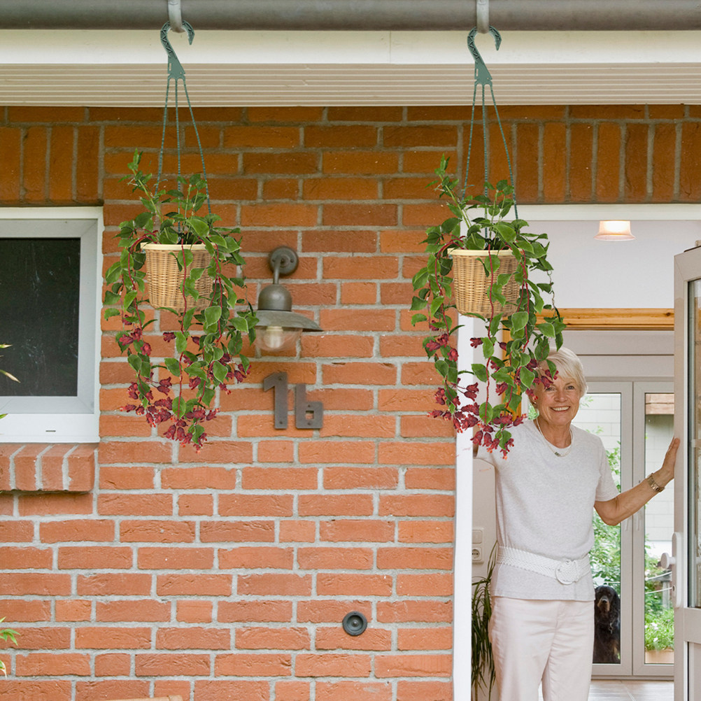 5個入り吊り下げプランターフック多用途 - 多肉植物、スパイ - Spider Plant Hanging のレビューと価格